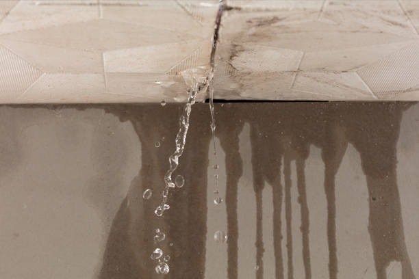 Professional Burst Pipe Cleanup technician working in Roosevelt, NJ